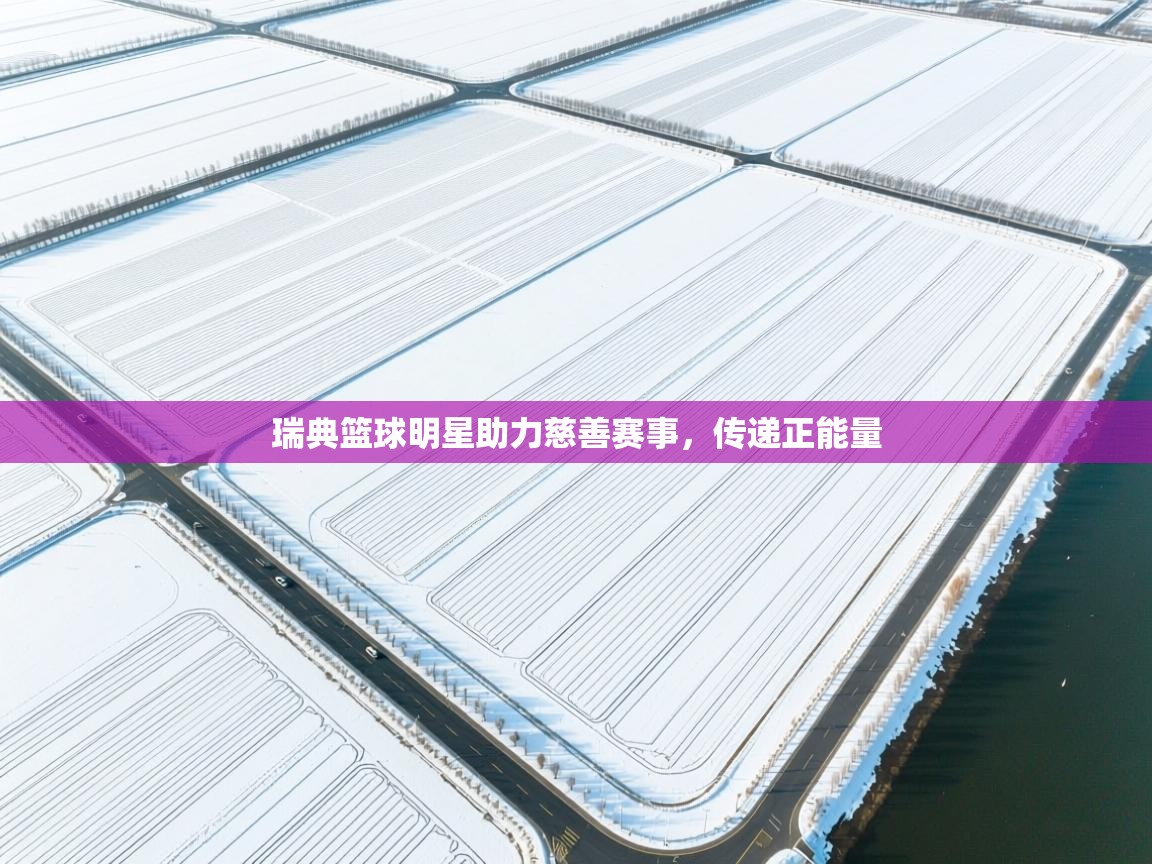 瑞典篮球明星助力慈善赛事，传递正能量  第2张